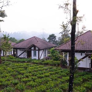 Tea Garden Villa Dhaksha
